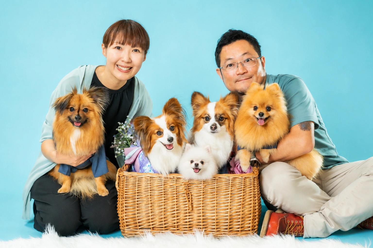 まるのいえの家族と犬たち